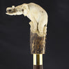 Elephant Bone Handle Walking Cane w/Custom Shaft and Collar