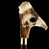 Defining Sophistication: Eagle/Lion Bone Handle Walking Cane with Custom Shaft and Collar