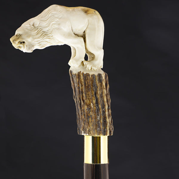 Luring Lion Intricate Handcarved Bone Handle Collector Cane w/Custom Shaft and Collar