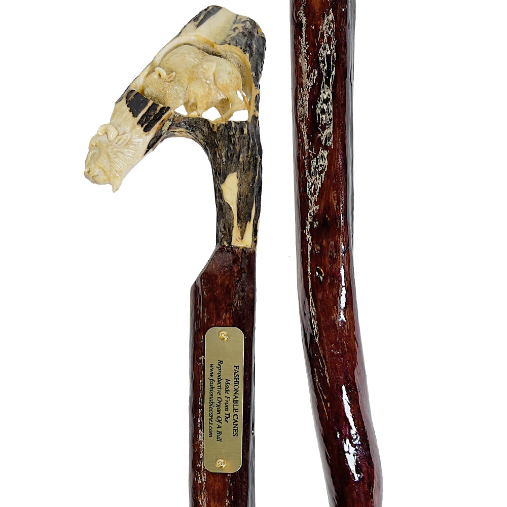Custom Bull Organ shaft with Handcarved Buffalo Bone Handle