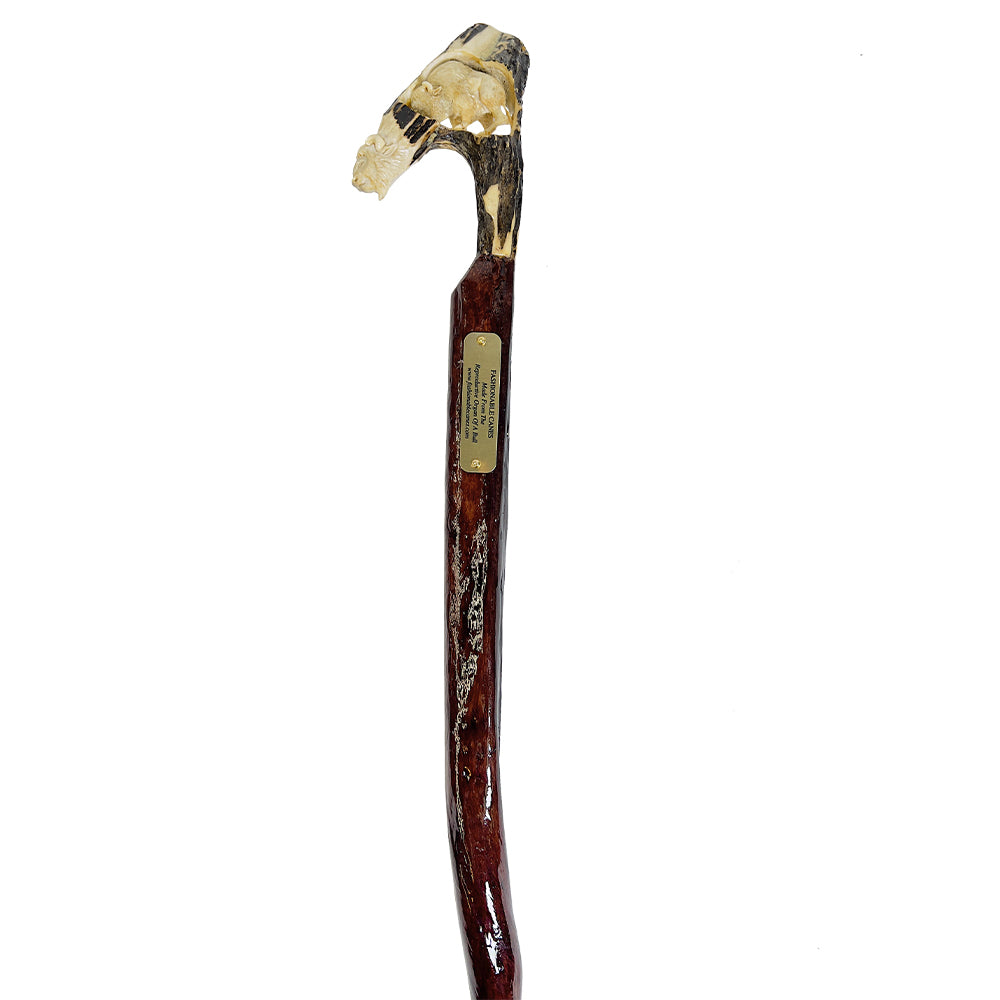 Custom Bull Organ shaft with Handcarved Buffalo Bone Handle