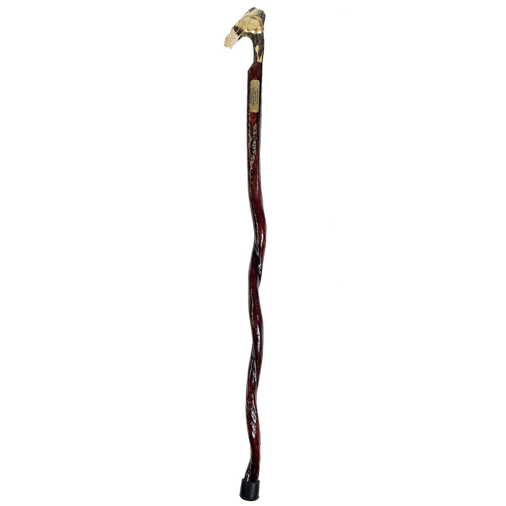 Custom Bull Organ shaft with Handcarved Buffalo Bone Handle