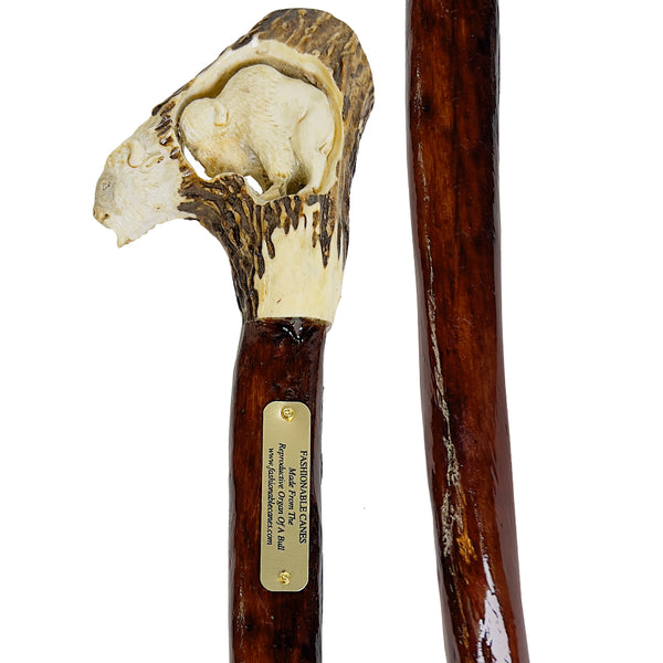 Custom Bull Organ shaft with Handcarved Buffalo Bone Handle