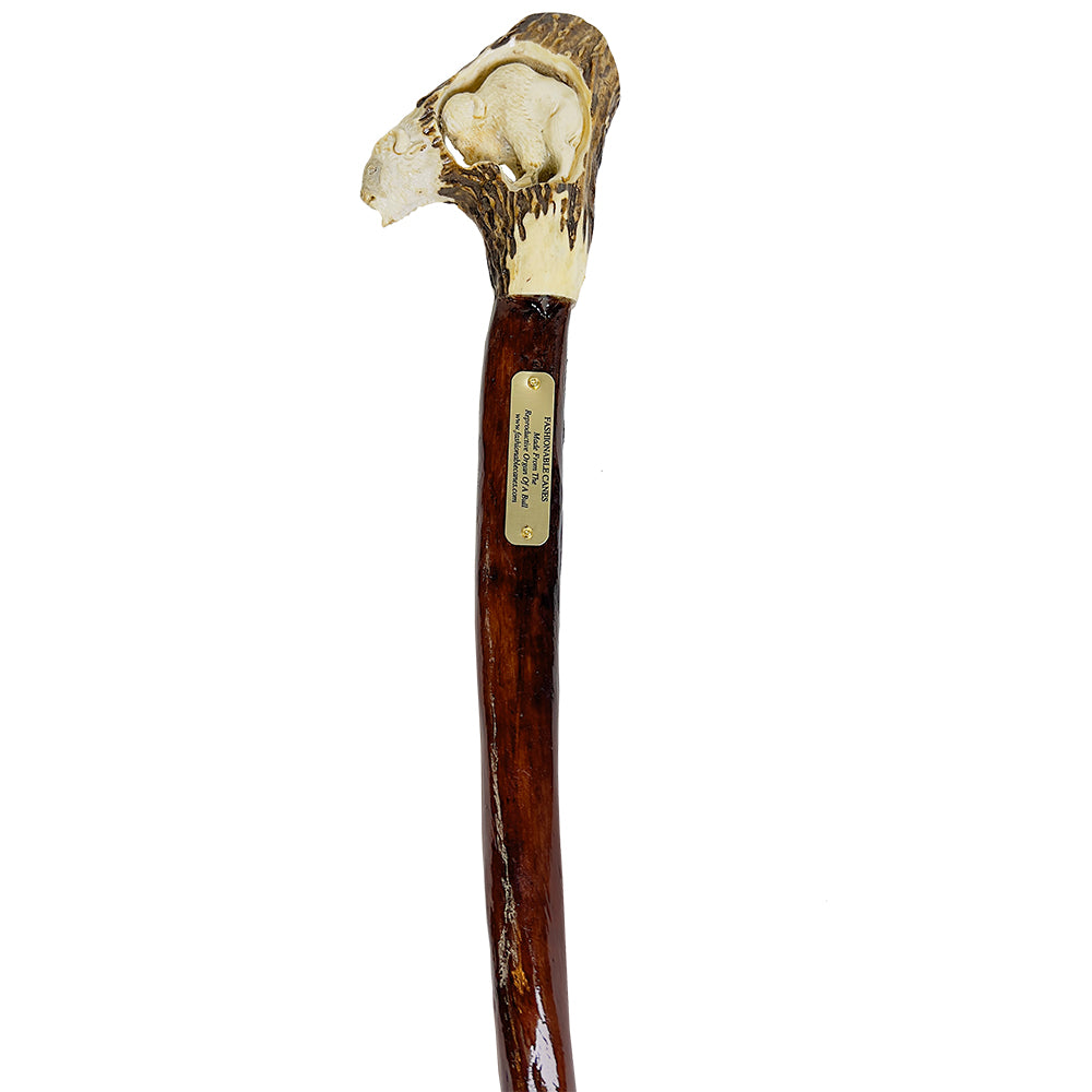Custom Bull Organ shaft with Handcarved Buffalo Bone Handle