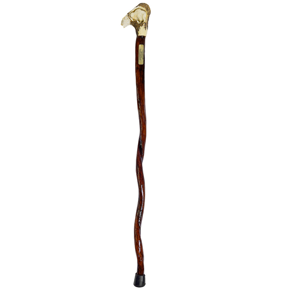 Custom Bull Organ shaft with Handcarved Buffalo Bone Handle