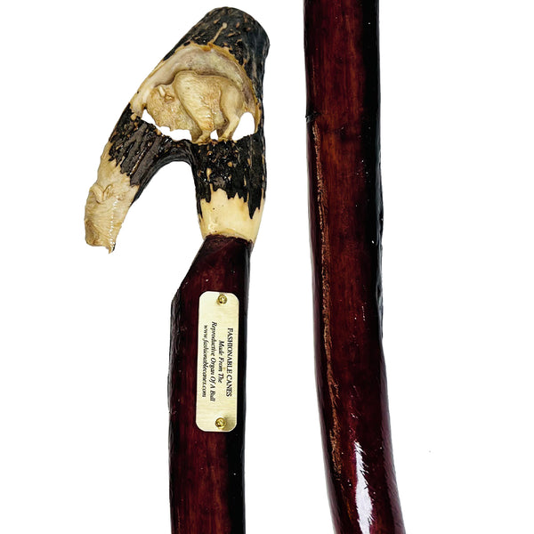 Exclusive Elk Horn Handle Cane with Bull Organ Shaft