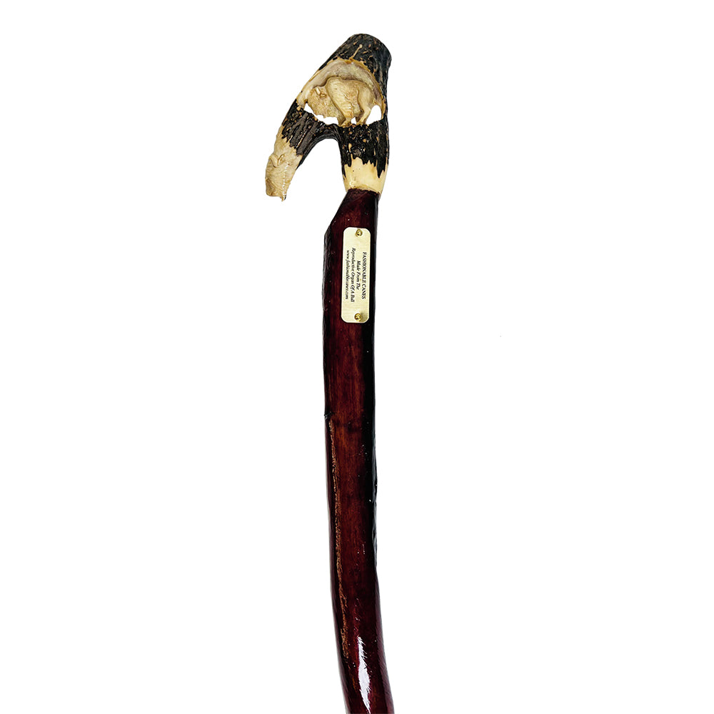 Custom Bull Organ shaft with Handcarved Buffalo Bone Handle