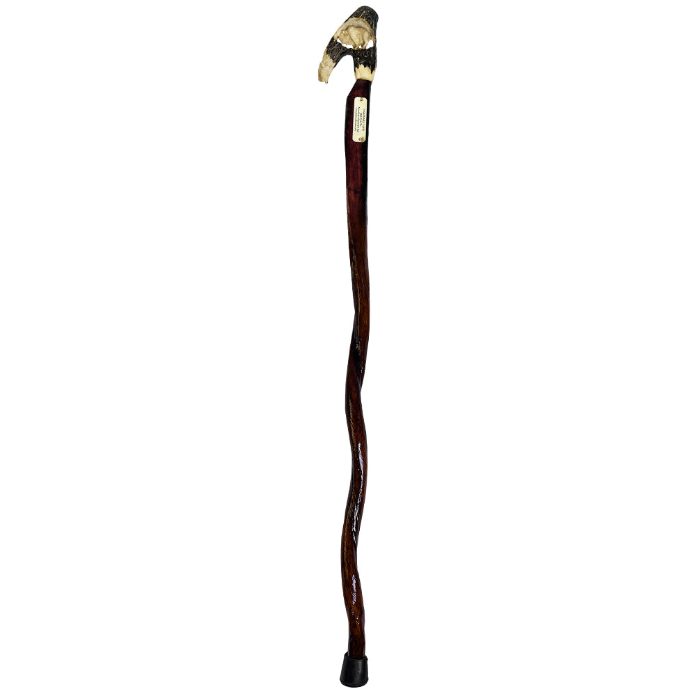 Custom Bull Organ shaft with Handcarved Buffalo Bone Handle
