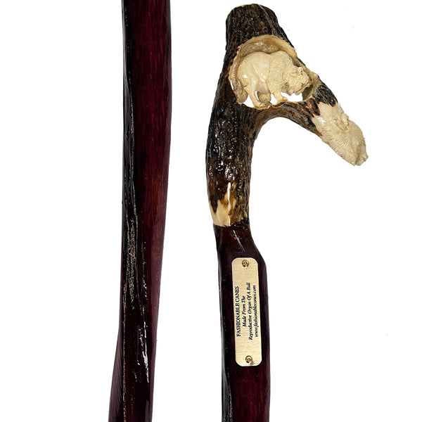 Custom Bull Organ shaft with Handcarved Buffalo Bone Handle