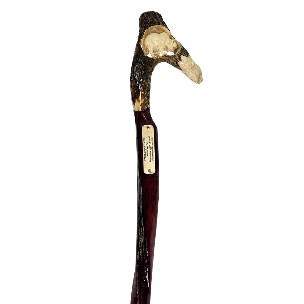 Custom Bull Organ shaft with Handcarved Buffalo Bone Handle