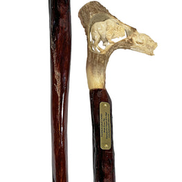 Custom Bull Organ shaft with Handcarved Buffalo Bone Handle