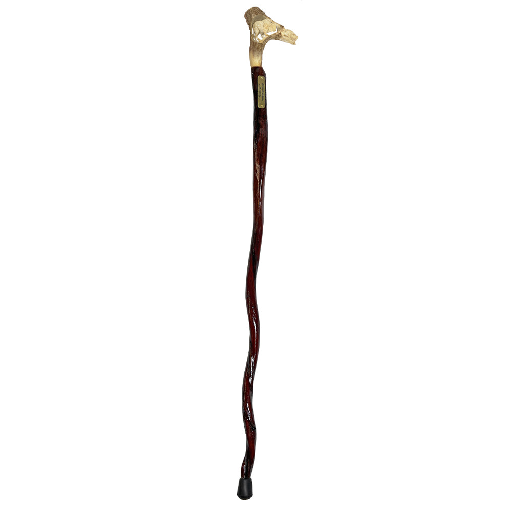 Custom Bull Organ shaft with Handcarved Buffalo Bone Handle