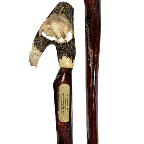 Custom Bull Organ shaft with Handcarved Buffalo Bone Handle