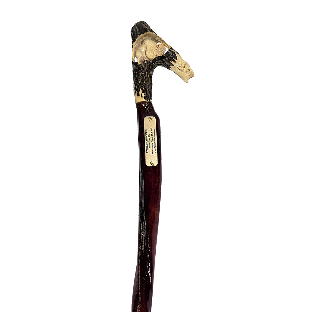 Custom Bull Organ shaft with Handcarved Buffalo Bone Handle