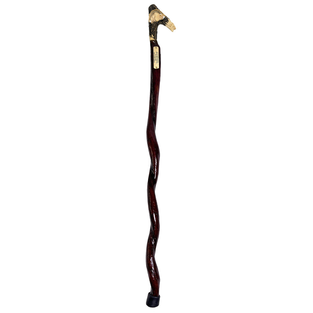 Custom Bull Organ shaft with Handcarved Buffalo Bone Handle