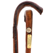 Bull Organ Tourist Handle Walking Cane