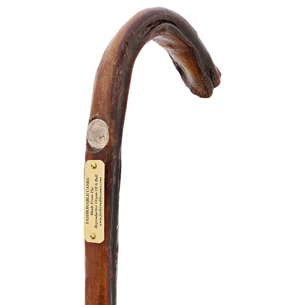 Bull Organ Tourist Handle Walking Cane