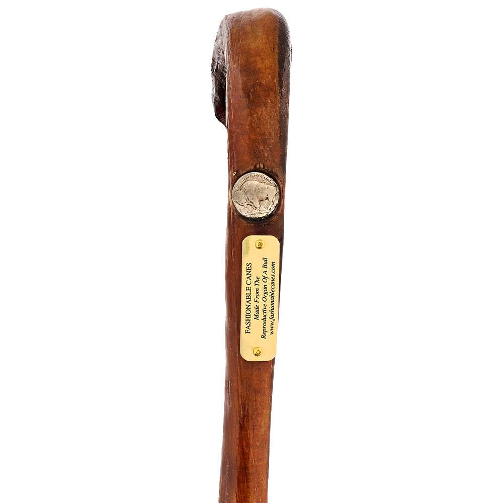 Bull Organ Tourist Handle Walking Cane