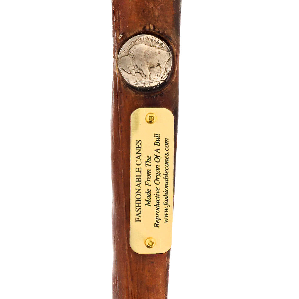 Bull Organ Tourist Handle Walking Cane