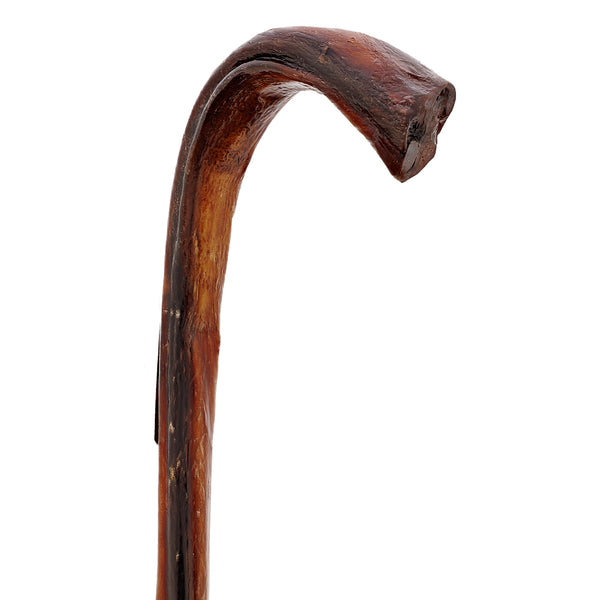 Bull Organ Tourist Handle Cane