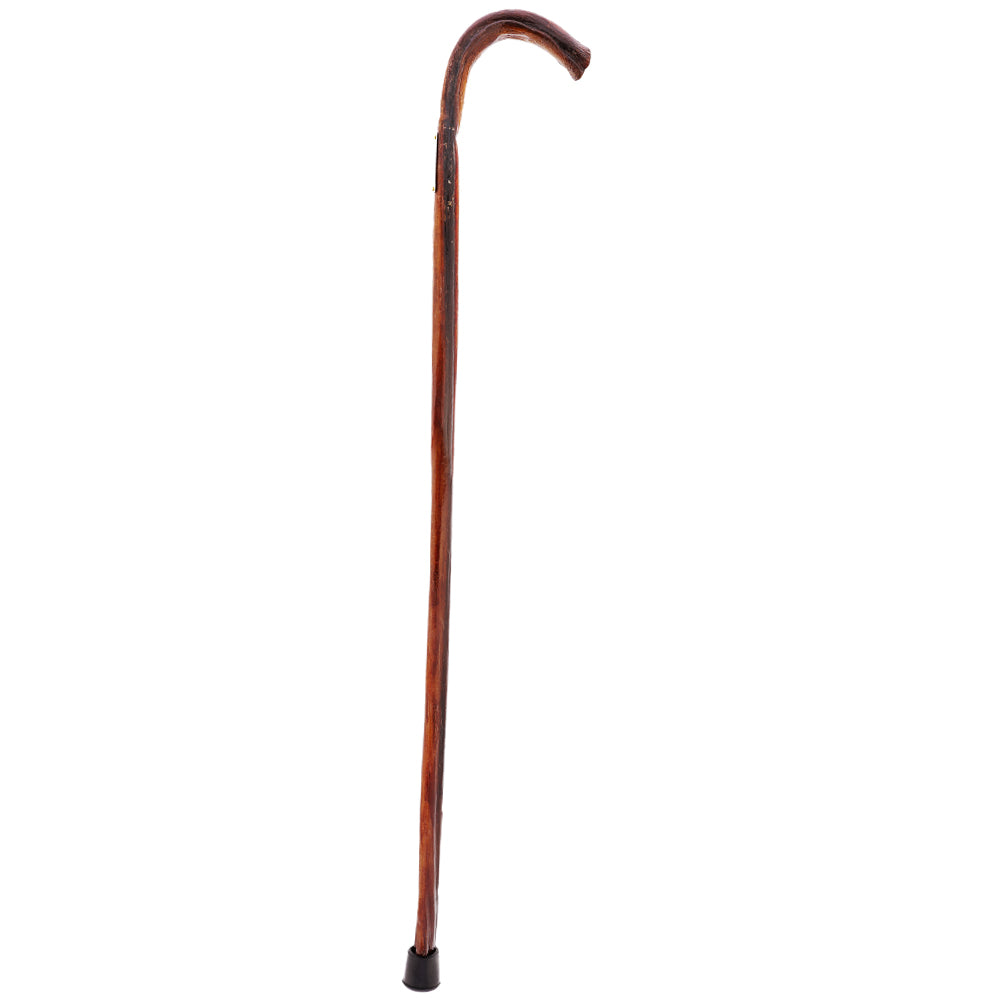 Bull Organ Tourist Handle Walking Cane
