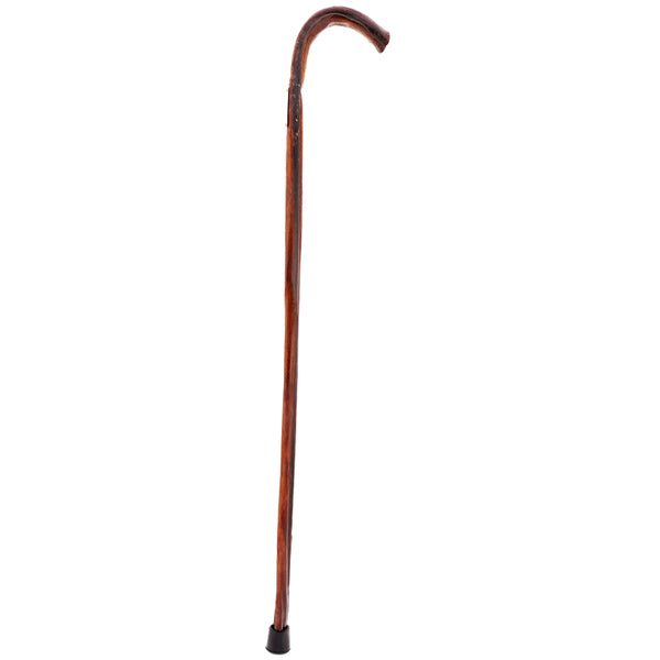 Bull Organ Tourist Handle Cane