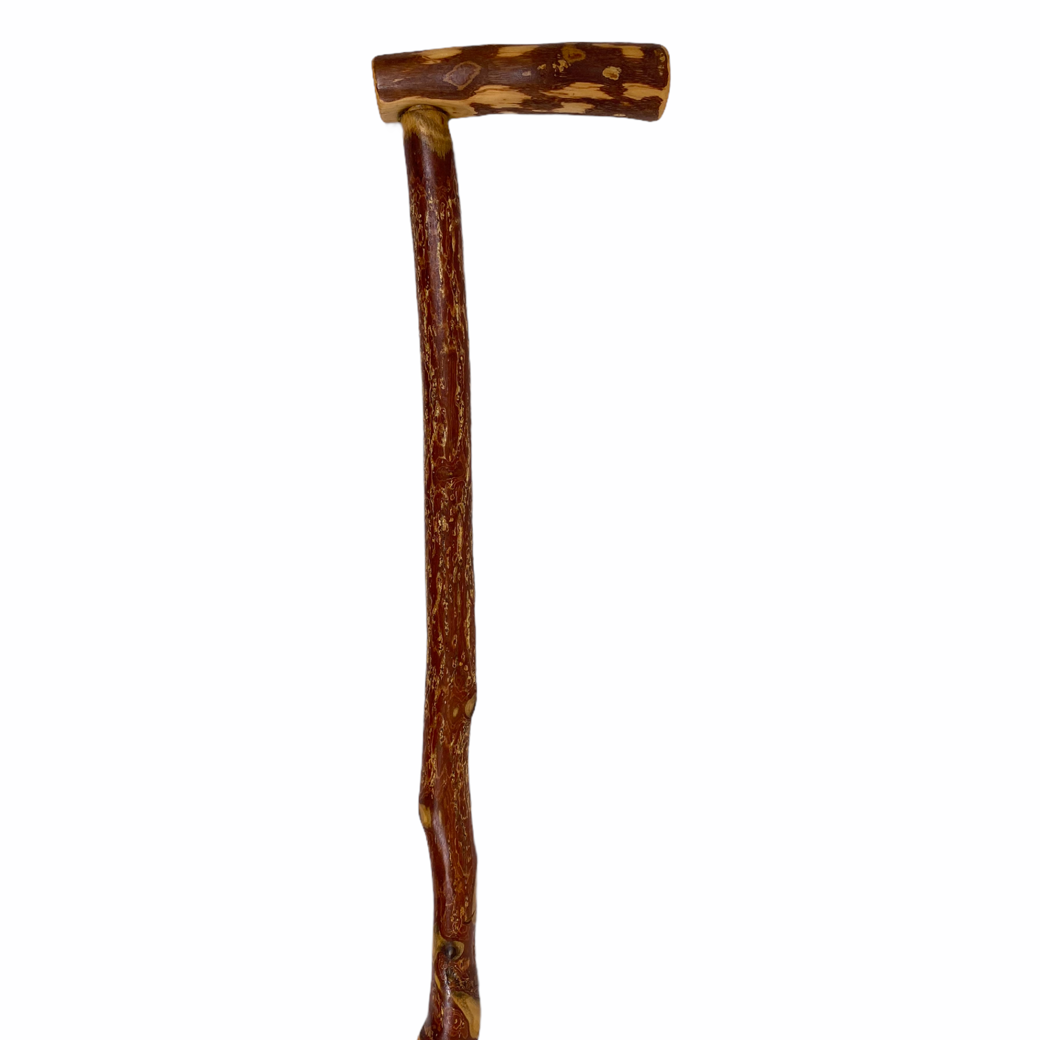 Natural Spiral Vine Twisted Wood Walking Cane - 36.5"