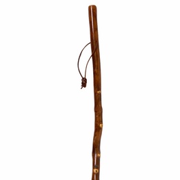 Natural Spiral Vine Twisted Wood Hiking Staff w/ Compass - 52"