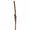 Natural Spiral Vine Twisted Wood Hiking Staff - 46"