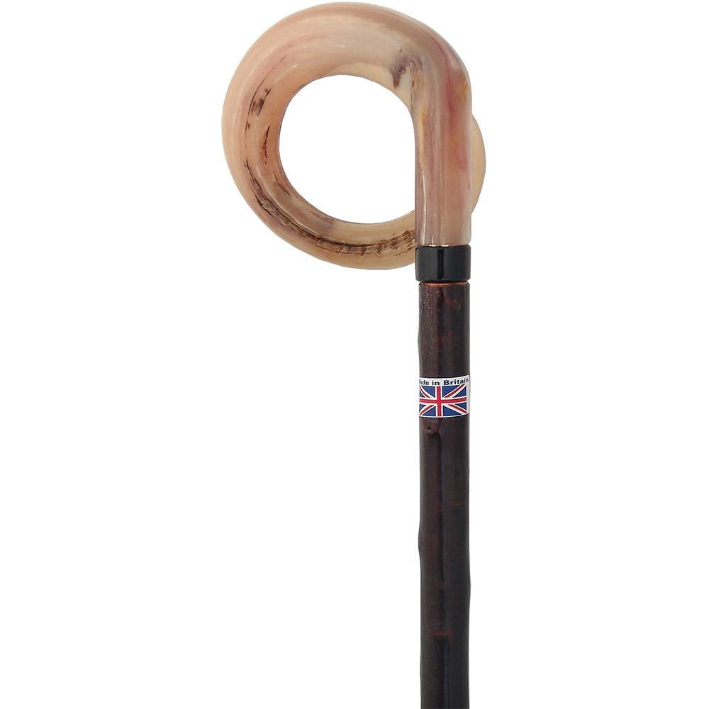 Classic Canes Curly Rams horn Handle Hiking Staff With Blackthorn wood Shaft