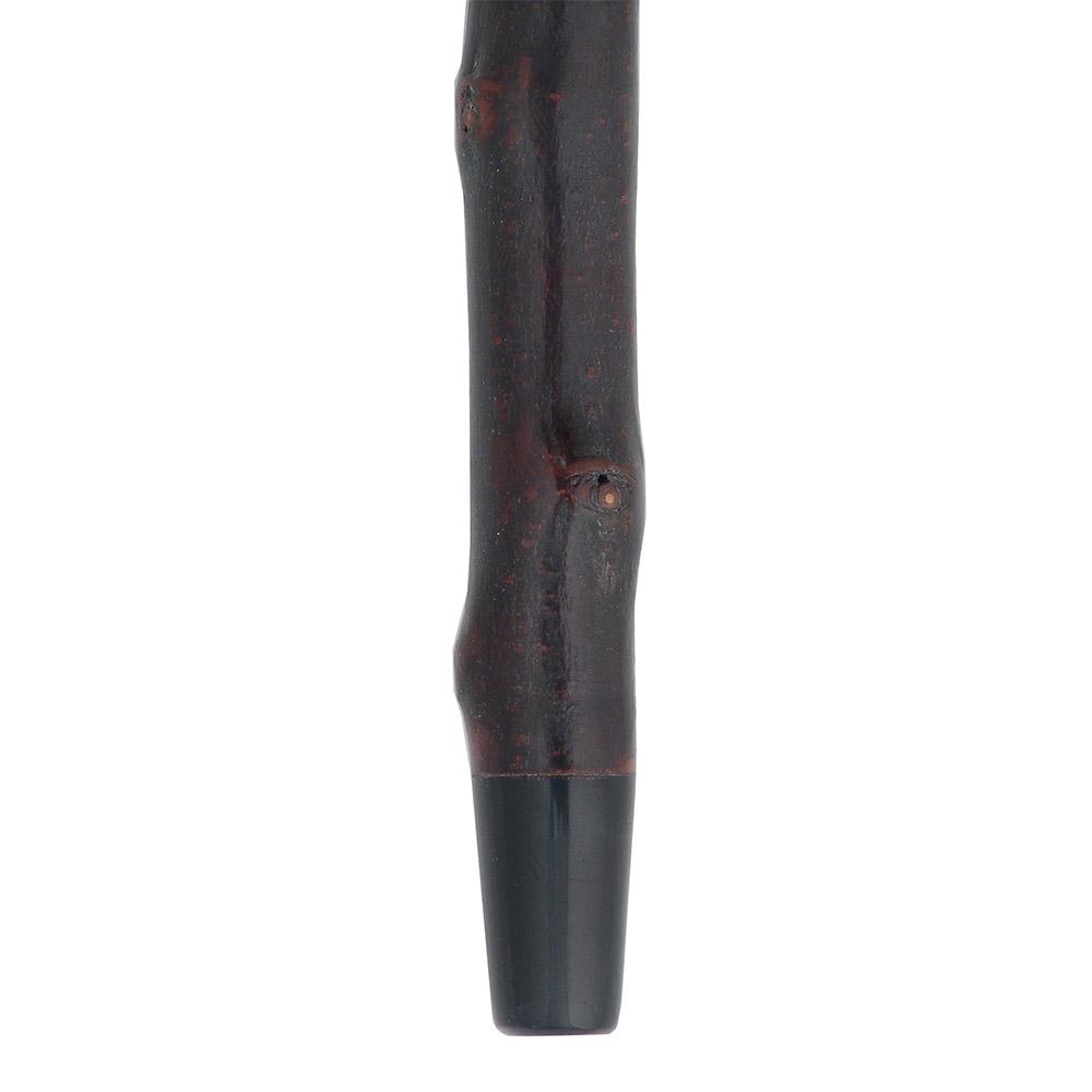 Classic Canes Curly Rams horn Handle Hiking Staff With Blackthorn wood Shaft