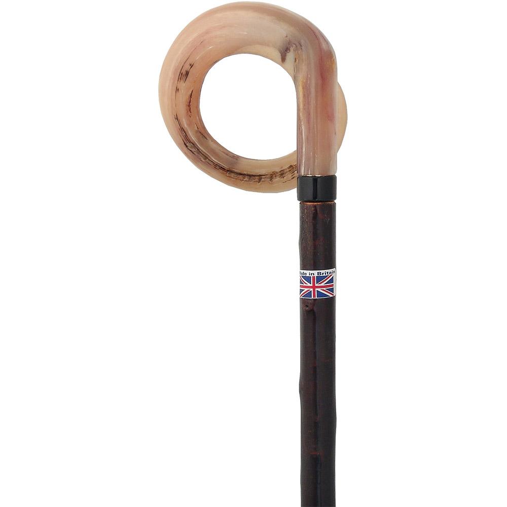 Classic Canes Curly Rams horn Handle Walking Stick With Blackthorn Shaft