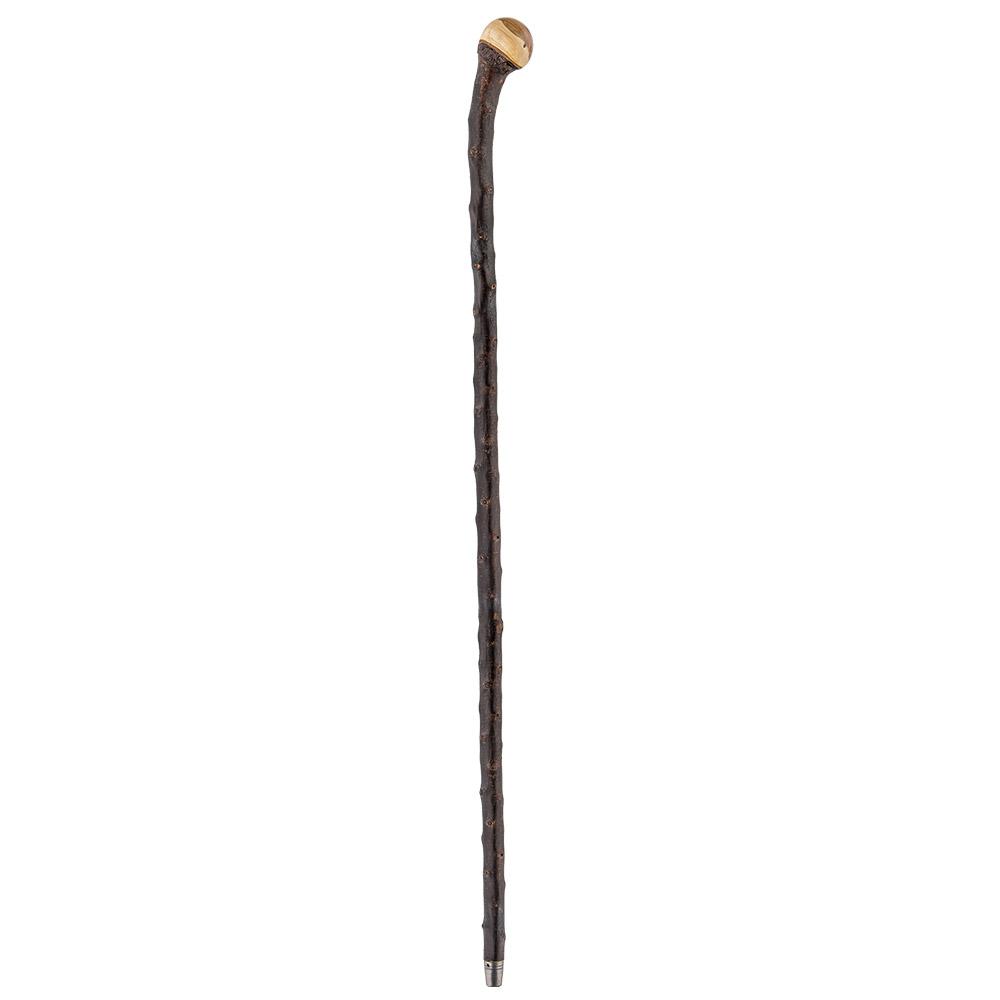 White Ash Root Knob walking stick - cut to 34.5