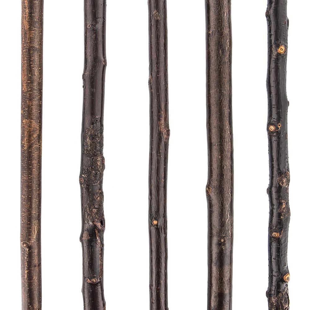 Classic Canes Irish Blackthorn Root Knobbed Walking Stick