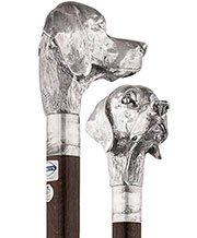 Comoys Silver Plated Labrador/English Setter Walking Cane w/ Brown Beechwood Shaft & Silver Collar