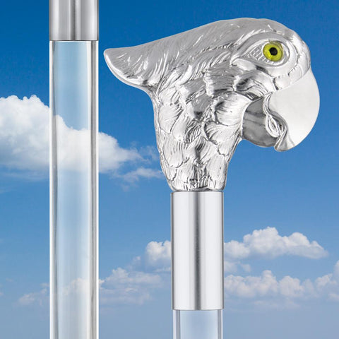 Comoys Lively & Exotic Parrot Nickel Plated Cane w/ Lucite Shaft & Collar