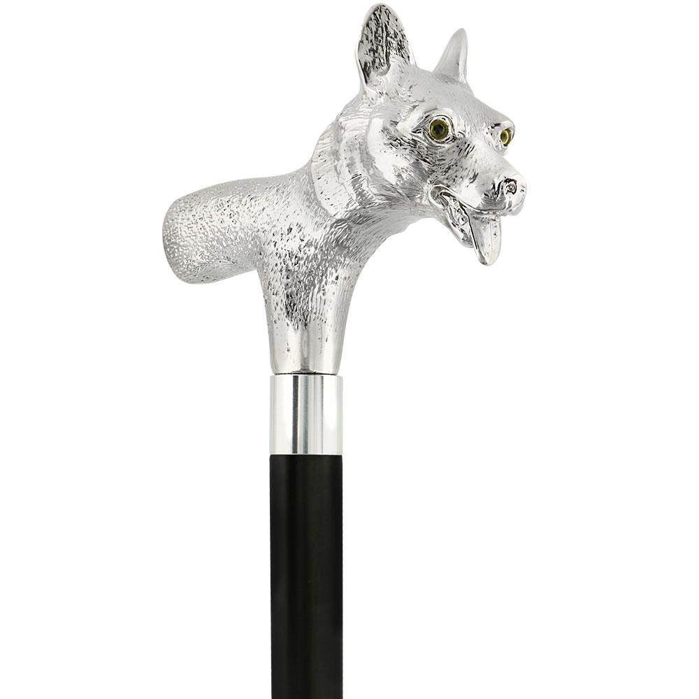 Comoys Sly Fox Nickel Plated Handle Cane w/ Custom Shaft & Collar