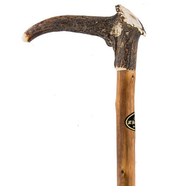 Comoys Crown Stag Horn Handled Walking Stick w/ Natural Brown Chestnut Wood Shaft