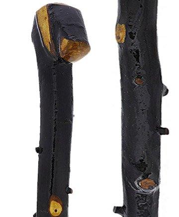 Fashionable Canes Genuine Irish Blackthorn Walking Stick with Thorn bumps