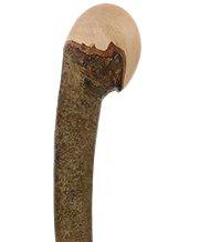 Fashionable Canes Hazel wood stout knob stick