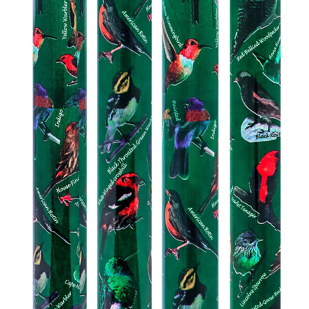 Fashionable Canes American Songbird Folding Adjustable Designer Derby Walking Cane with Engraved Collar w/ SafeTbase