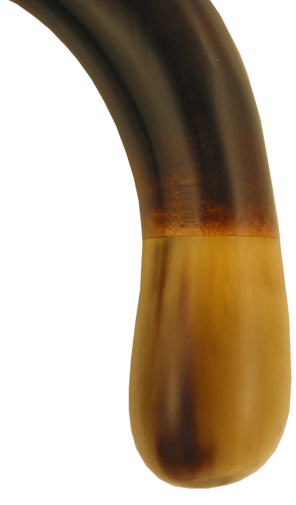 Fayet Blonde Horn Ball Tourist Walking Cane With Dark Maple Shaft