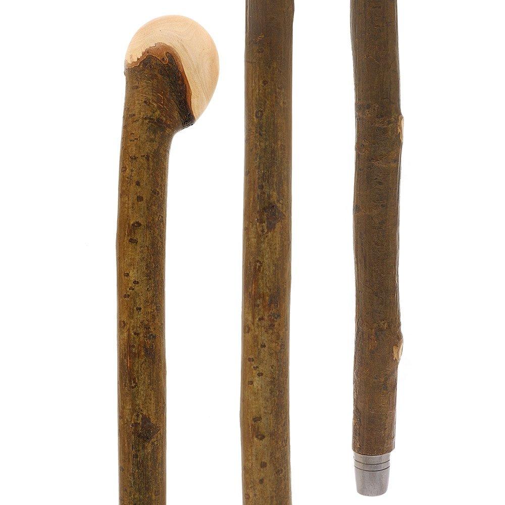 HARVY Hazelwood, Root Knobbed Walking Cane with Polished Hazelwood Shaft and Leather Strap