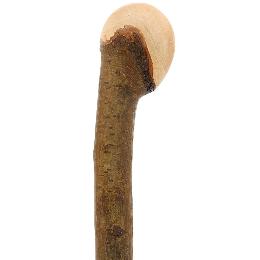 HARVY Hazelwood, Root Knobbed Walking Cane with Polished Hazelwood Shaft and Leather Strap