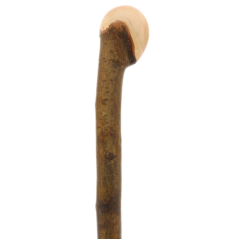 HARVY Hazelwood, Root Knobbed Walking Cane with Polished Hazelwood Shaft and Leather Strap