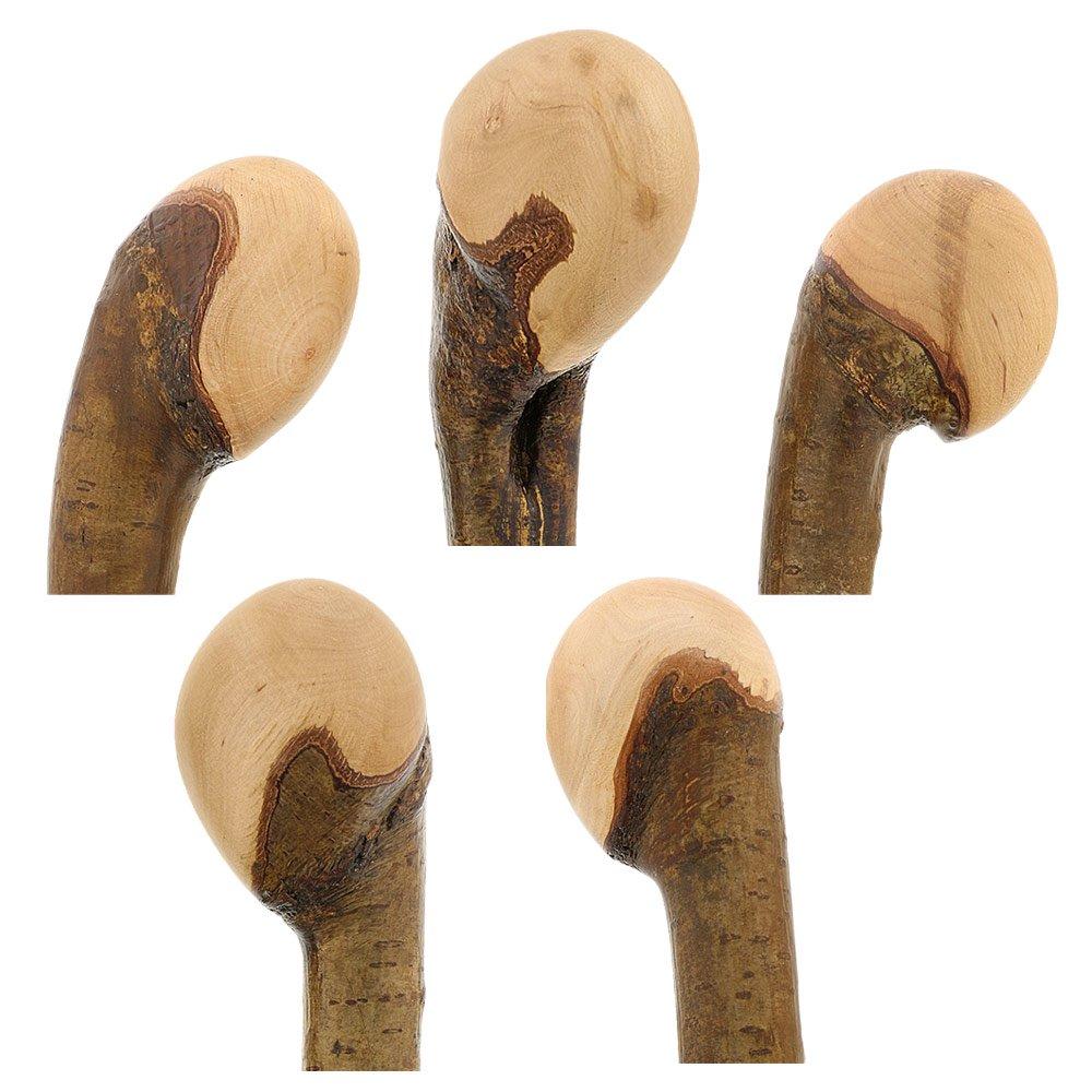 HARVY Hazelwood, Root Knobbed Walking Cane with Polished Hazelwood Shaft and Leather Strap