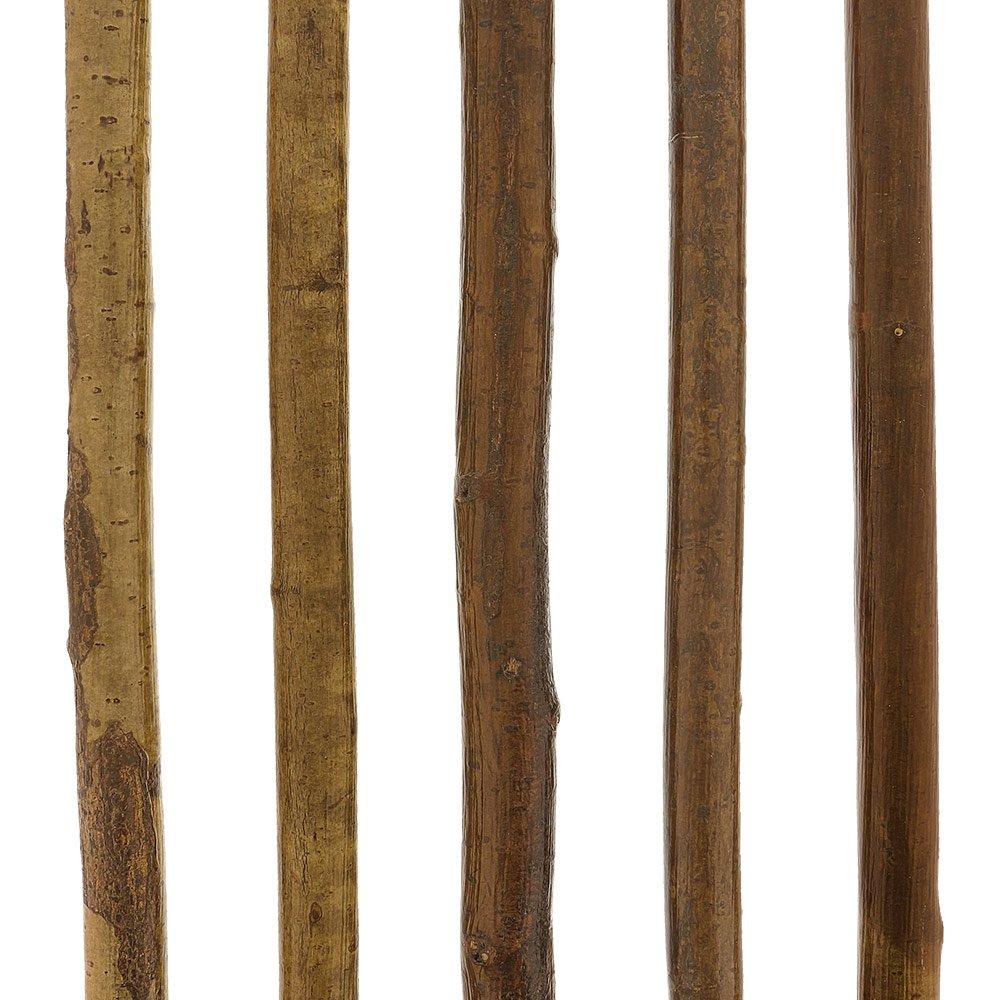 HARVY Hazelwood, Root Knobbed Walking Cane with Polished Hazelwood Shaft and Leather Strap