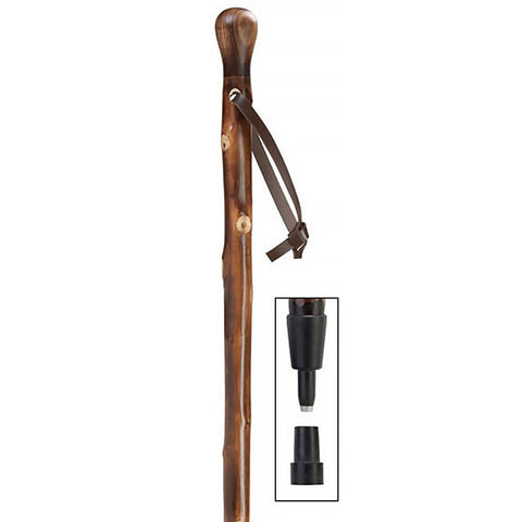 HARVY Chestnut Knobbed Walking Staff With Walnut Stained Shaft and Combi Tip