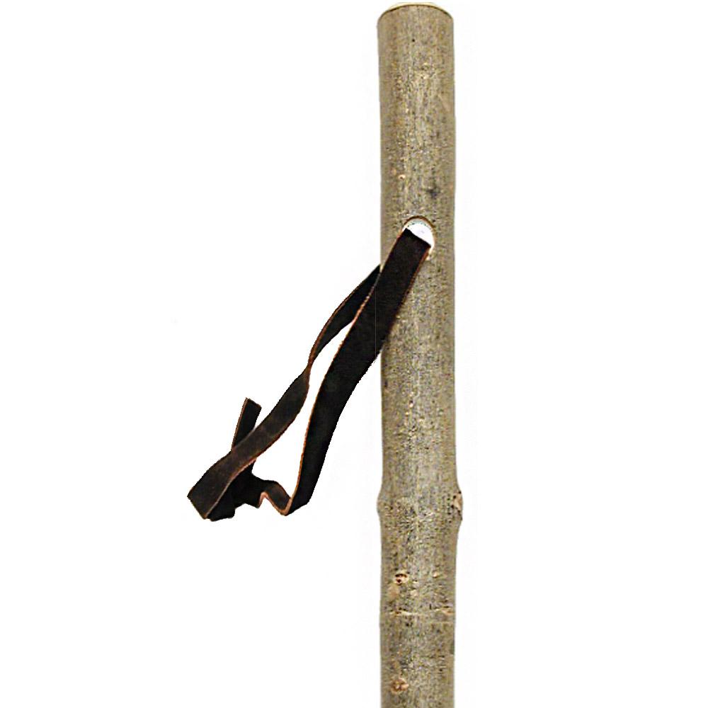 HARVY Mountain Ash Hiking Staff with Ash Wood Shaft