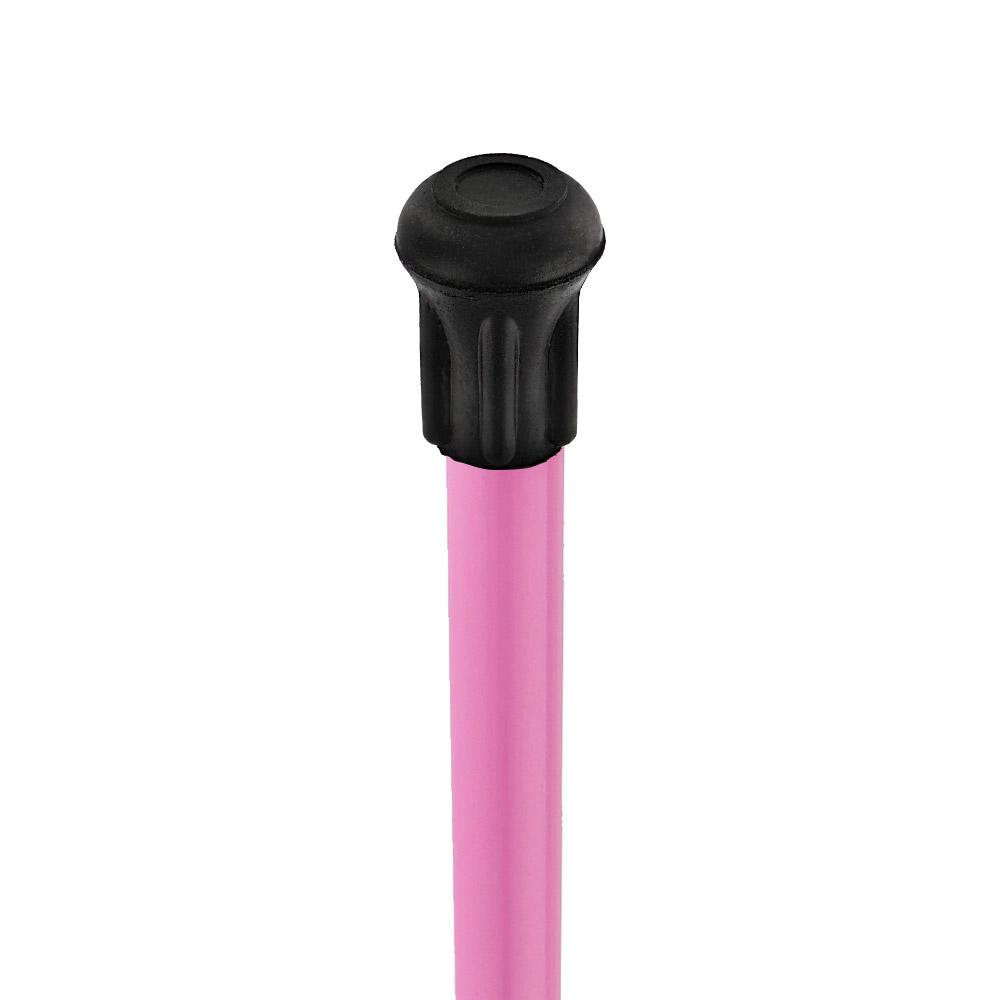 Ladybug Pink Shaft - Lola Signature LadyBug Carbon Fiber Walking Cane